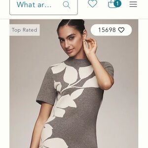 Anthropologie The Nina Short-Sleeve
Mock-Neck Mod Sweater mini dress